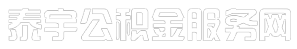 泰宇人力资源服务公司